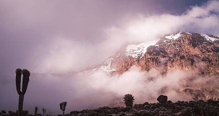kilimanjaro-national-park